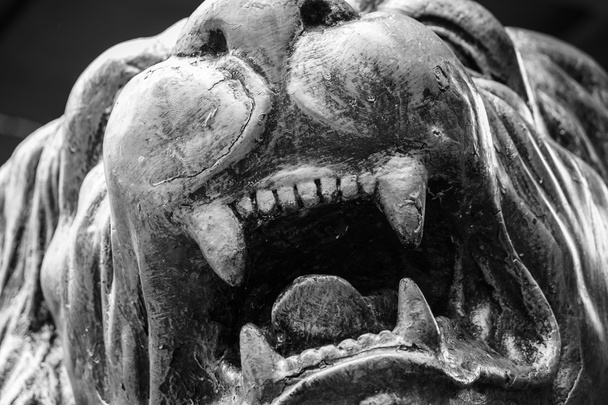 Bianco e nero Statua leone faccia di pietra
  - Foto, immagini