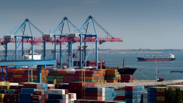 Containerterminal für die Schifffahrt - Filmmaterial, Video