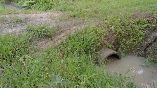 concrete cylindrical canal drainage flows stagnant by the overgrowth plant and weed. - Footage, Video