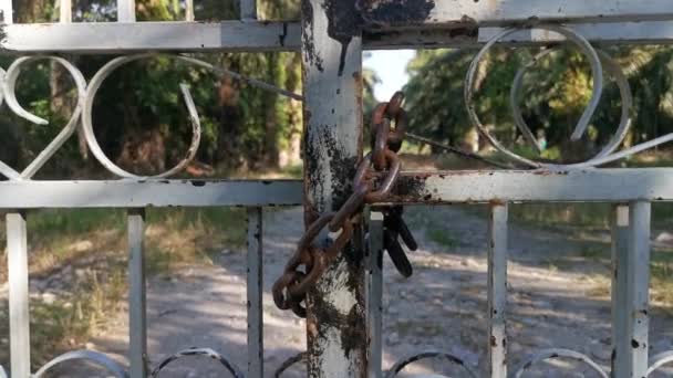 cancello di metallo arrugginito marrone corroso presso la piantagione  - Filmati, video