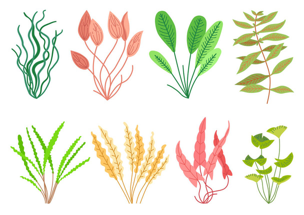 Χαριτωμένα φυτά ενυδρείου κινουμένων σχεδίων. Φύση της άγριας ζωής - Διάνυσμα, εικόνα