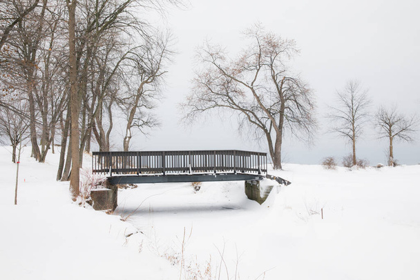 A metallic bridge over a river covered in snow and surrounded by dried trees in winter in the park - Foto, Bild