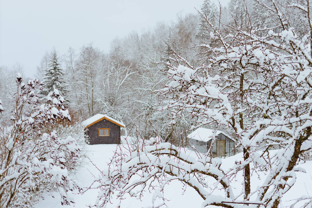 Cozy winter scenery of a small hut in a snow-covered forest - Фото, изображение
