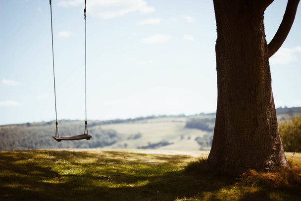 A wooden empty rope swing hanging from a large tree on a grass field in the countryside - Foto, afbeelding