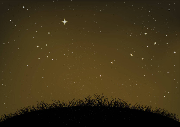 grass and ground starry night sky - Vector, afbeelding
