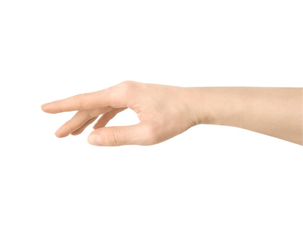Weibliche Hand greift nach etwas oder zeigt auf etwas Isoliertes auf weißem Hintergrund - Foto, Bild