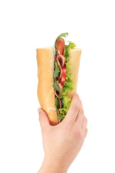 Hand holding sandwich. - Zdjęcie, obraz