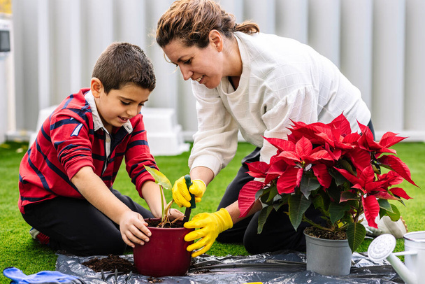 Mother and son in garden planting  flowers - Photo, Image