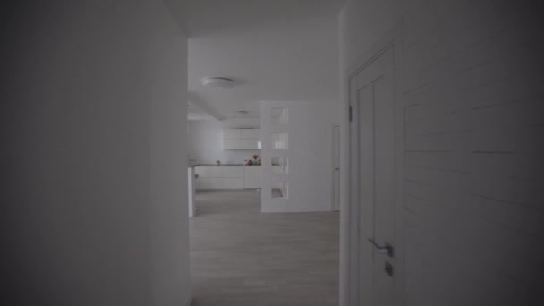 Nowoczesny salon Wnętrze, pokoje w mieszkaniu - Materiał filmowy, wideo