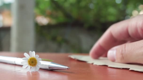 Leyendo carta romántica con flores margarita - Metraje, vídeo