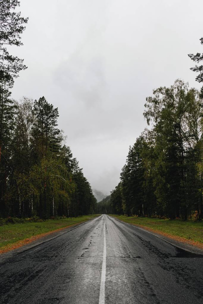 Asphalt road in the autumn forest. Cloudy weather, wet track after rain. - Foto, afbeelding
