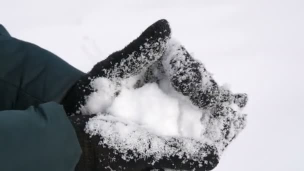 Vrouwelijke handen in zwarte handschoenen houden witte sneeuw vast en maken sneeuwballen in het park in de winter op winterdag close-up zicht - Video