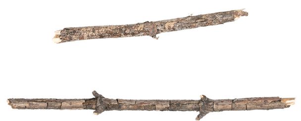 Árvore seca galhos ramos isolados no fundo branco. pedaços de tábua de madeira quebrada no fundo branco. close-up - Foto, Imagem