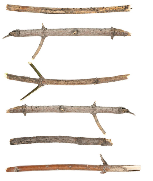Collage ramas de árboles secos ramas aisladas sobre fondo blanco. trozos de tablón de madera rota sobre fondo blanco. primer plano - Foto, Imagen
