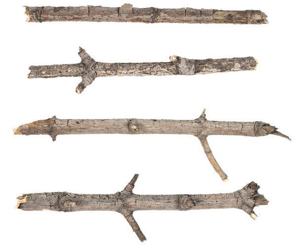 Colagem árvore seca galhos ramos isolados no fundo branco. pedaços de tábua de madeira quebrada no fundo branco. close-up - Foto, Imagem