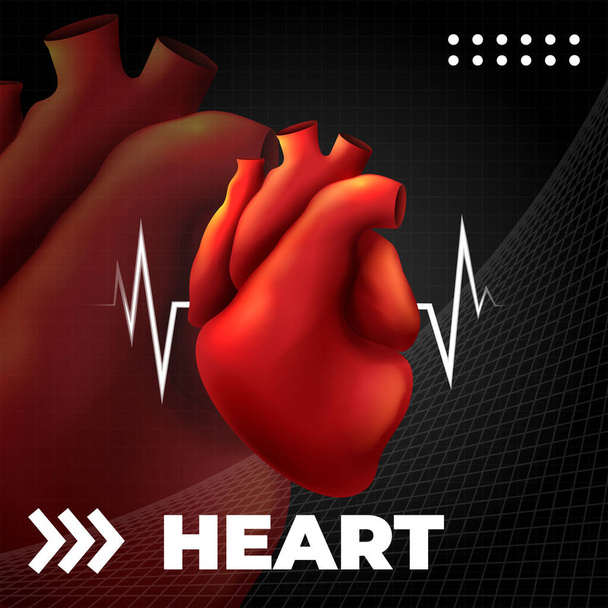 Anatomie lidského srdce. Lékařská šablona anatomické kardiologie - Vektor, obrázek