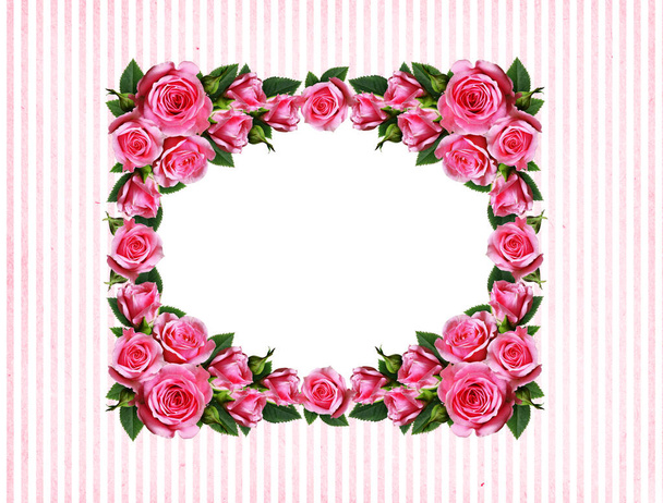 Pink rose flowers frame on white and striped background - Photo, Image