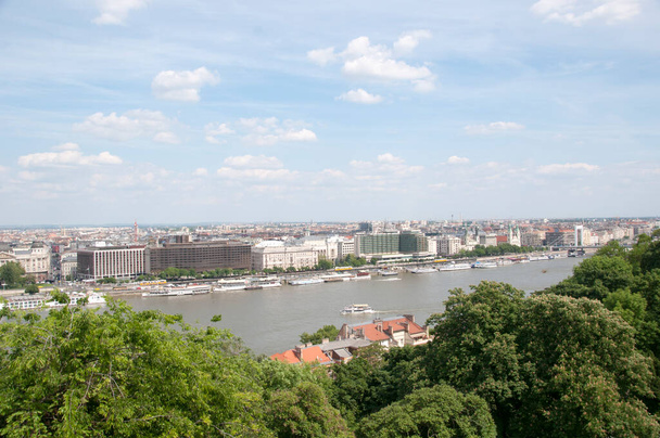 Panoramic top view of the Danube river, houses and green trees on a summer day, Hungary. - Foto, Imagen