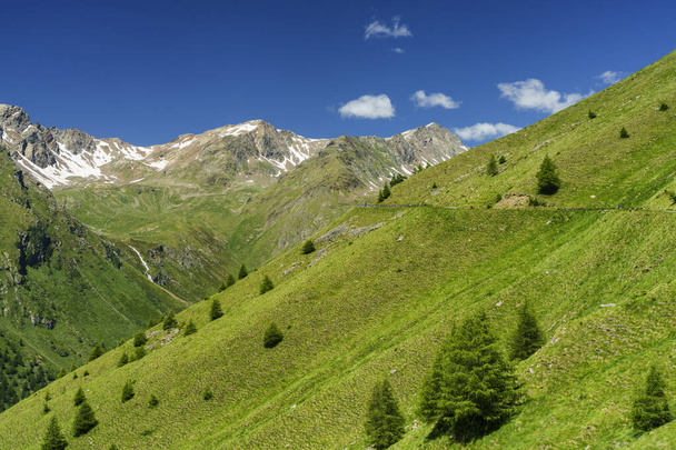 Passo Gavia, província de Brescia, Lombardia, Itália: paisagem ao longo do passo de montanha no verão - Foto, Imagem