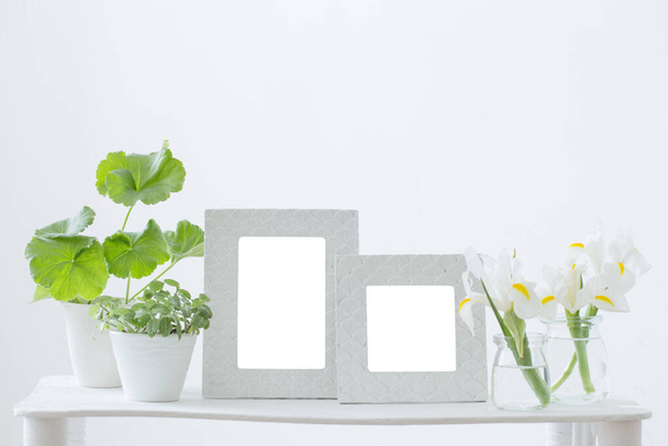white frame, green plants  and spring flowers on shelf on white background - Foto, Imagen