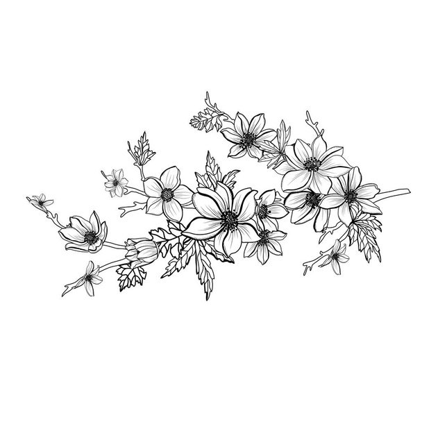 Decorative hand drawn anemone  flowers, design elements. Can be used for cards, invitations, banners, posters, print design. Floral background in line art style - ベクター画像