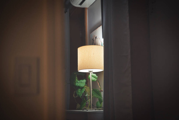 Wnętrze salonu z lampą i roślin. Patrząc przez otwarte drzwi i ciemne zasłony - Zdjęcie, obraz