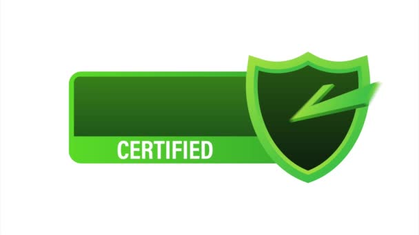 ISO TS 16949 Сертифікований значок, ікона. Сертифікаційна марка. Дизайн плоті . - Кадри, відео