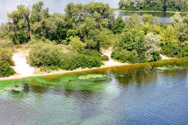 青緑色の藻が川の表面を覆い、ストリップの海岸に沿って走る開花フィルムで覆われています。川の水質汚染。環境問題。スペースのコピー. - 写真・画像