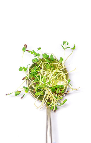 Microgreen flax on a white background isolate. Selective focus. Food. - Photo, Image