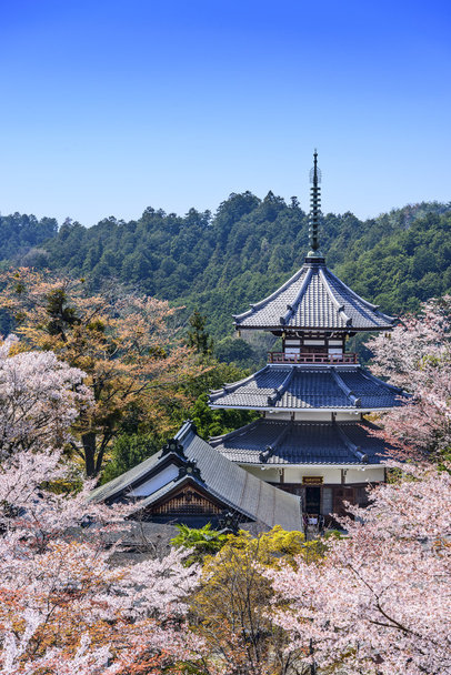 Yoshinoyama, Japani Kinpusenji Pagodassa
 - Valokuva, kuva