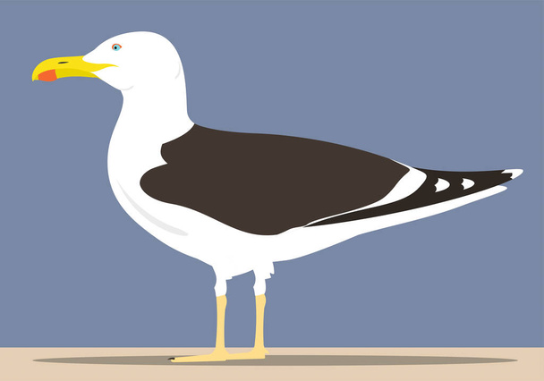 A full-length seagull, side view, stands on the sand against the background of the sea or sky. Vector oceanic white and gray bird with yellow beak stands on yellow surface. - Vector, Image