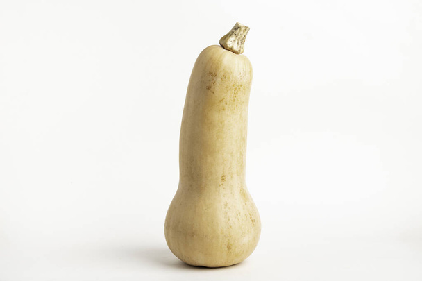 A close-up shot of a butternut squash set on a plain white background. - Foto, afbeelding