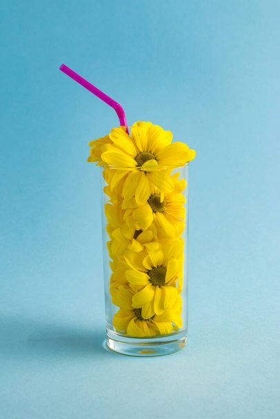 Creative composition with yellow flowers in a glass and a straw on a light blue background. Valentines or woman's day background design. - Фото, зображення