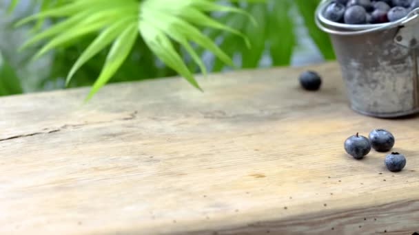 čerstvé zralé borůvky se vysypou z kovového kbelíku a pomalu se kutálejí po povrchu dřevěného stolu - Záběry, video