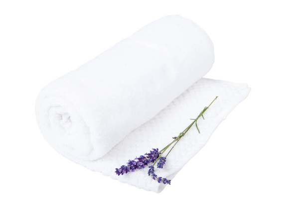 White towel and a sprig of lavender -  isolated. A rolled towel and a lavender flower - aromatherapy - Photo, image