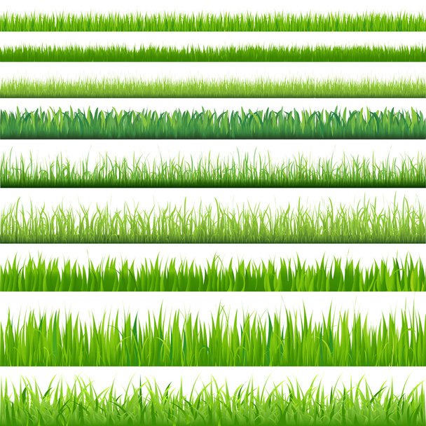 Big Set Grasses - Vector, Image