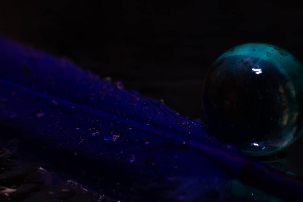 blue feather lies next to a glass ball. High quality photo - Foto, afbeelding