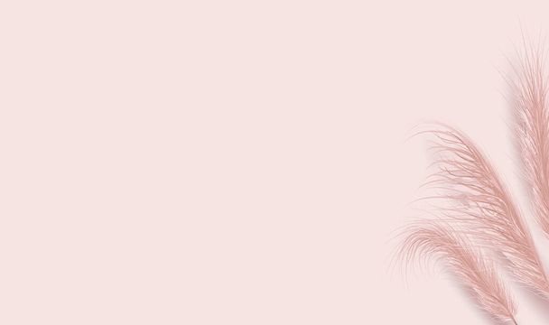 Dried natural pampas grass on pink background. Floral ornament elements in boho style. Vector illustration of cortaderia selloana. New trendy home decor. Flat lay, copy space, top view - Vector, Image