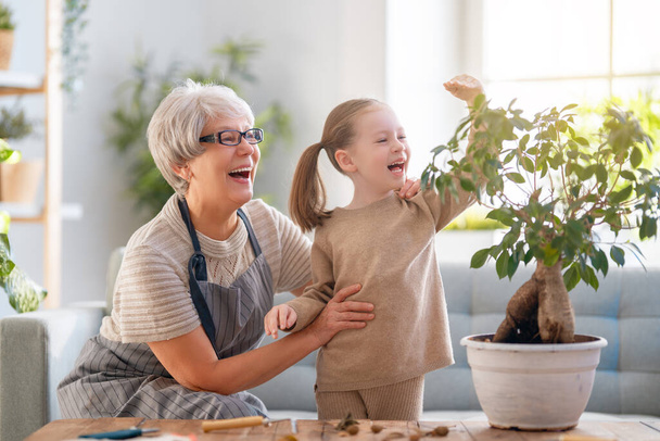Cute child girl helping her grandmother to care for plants. Granny and her granddaughter engaging in gardening at home. Happy family in spring day. - Fotografie, Obrázek