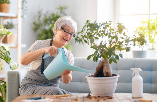 Woman caring for plants at home in spring day. - Fotoğraf, Görsel