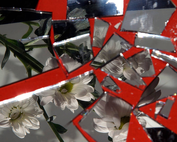 букет красивых цветов, отражающихся в ломтиках разбитого зеркала на темном фоне, весенняя концепция, близкий вид   - Фото, изображение