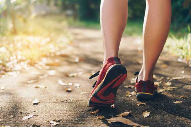 Жінка носить кросівки, щоб ходити і бігати на зеленому тлі природи. Концепція вправ охорони здоров'я
. - Фото, зображення