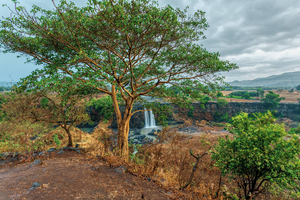 Kék-Nílusi vízesések száraz évszakban. Zuhanj a Kék-Nílus folyóba. Természet és úti cél. Etiópia vadon, Amhara régió, Bahir Dar és a Tana-tó közelében - Fotó, kép