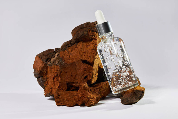 Anti-Aging-Serum in einer Glasflasche auf einem natürlichen Chaga-Pilz (Inonotus Obliquus) Hintergrund. Flüssiges Gesichtsserum mit Kollagen und Mineralien. Naturkosmetikkonzept - Foto, Bild