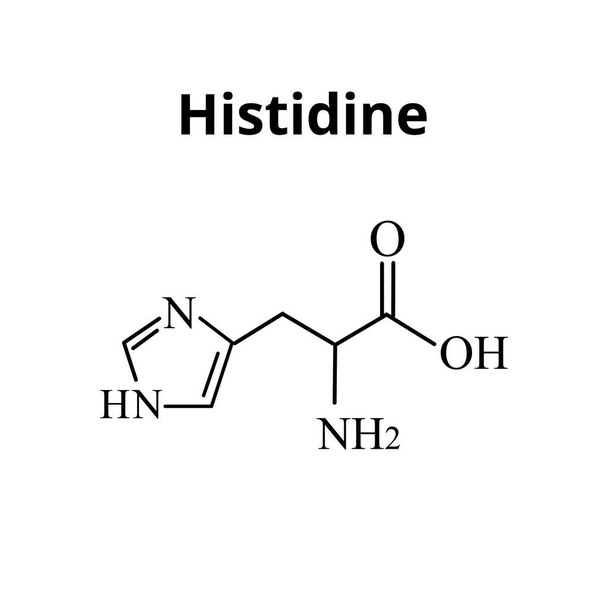 Aminosäure Histidin. Chemische molekulare Formel Histidin-Aminosäure. Vektor-Illustration auf isoliertem Hintergrund - Vektor, Bild