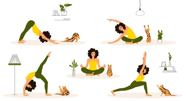 Yoga poses set. The girl is engaged in physical exercises with the cat at home. Flat vector illustration. - Vector, Image
