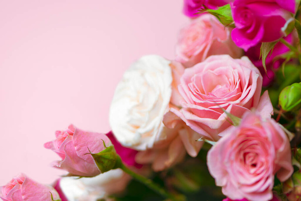kaunis tarjous vaaleanpunainen ja valkoinen ruusut lähikuva, tausta  - Valokuva, kuva