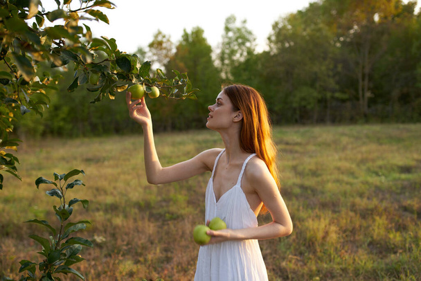 木の近くのリンゴと白いドレスの魅力的な女性山の牧草地で - 写真・画像