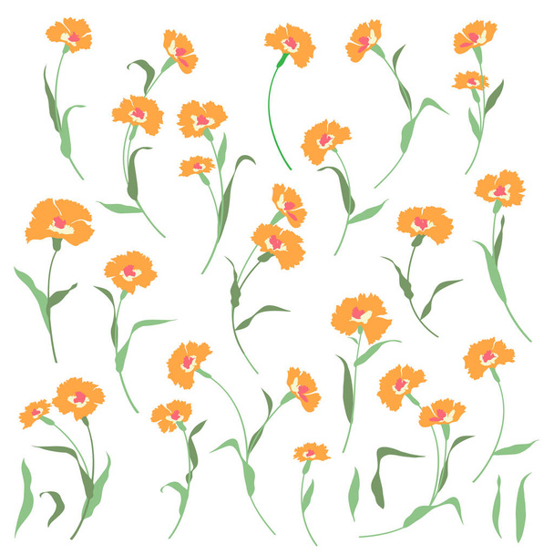 Beautiful flower illustration material collection,I made a beautiful flower with a vector, - Вектор, зображення