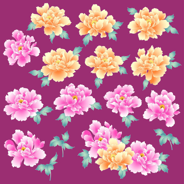 Japanese painting style peony material collection,I drew a peony with the technique of Japanese painting, - Vecteur, image